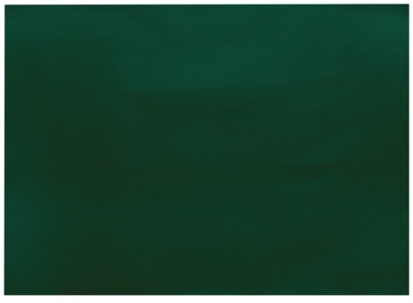 Infibra | Placemats | Donkergroen | 30x40cm | 8x250 stuks