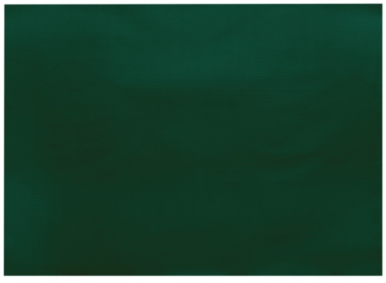Infibra | Placemats | Donkergroen | 30x40cm | 8x250 stuks