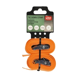 Carpoint | Spanbanden 25mm 2.5m | 2 stuks
