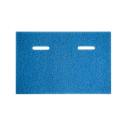 Excentr | Blue Pad | Daily