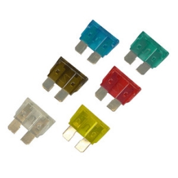 Carpoint | Steekzekering Assortiment |  6 stuks