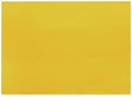 Infibra | Placemats | Geel | 30x40cm | 8x250 stuks