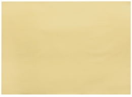 Infibra | Placemats | Creme | 30x40cm | 8x250 stuks