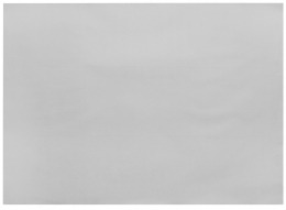 Infibra | Placemats | Wit | 30x40cm | 5x500 stuks