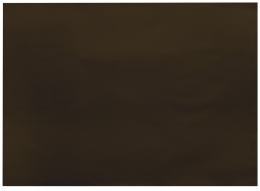 Infibra | Placemats | Bruin | 30x40cm | 8x250 stuks