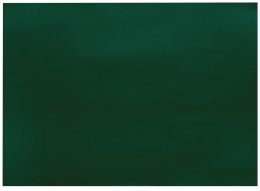 Infibra | Placemats | Donkergroen | 30x40cm | 8x250 stuks