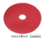 Wecoline | Vloerpad | Rood | 10 inch | 5 stuks